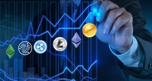 A Diversified Crypto Investment Strategy: Maximizing Opportunities and Mitigating Risks