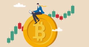 Unleashing the Power of Cryptocurrency Owner Earning Strategies