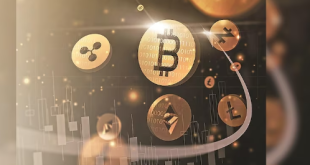 Crypto News Business: Explore market trends, blockchain innovations