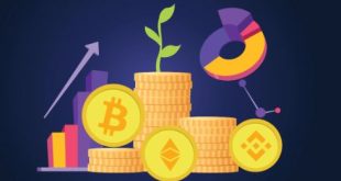 Unveiling the Lucrative World of Cryptocurrency Profitability